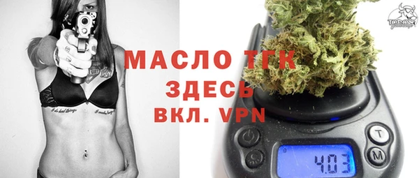 твердый Дмитров