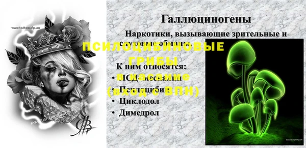 тгк Дмитровск