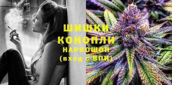 тгк Дмитровск